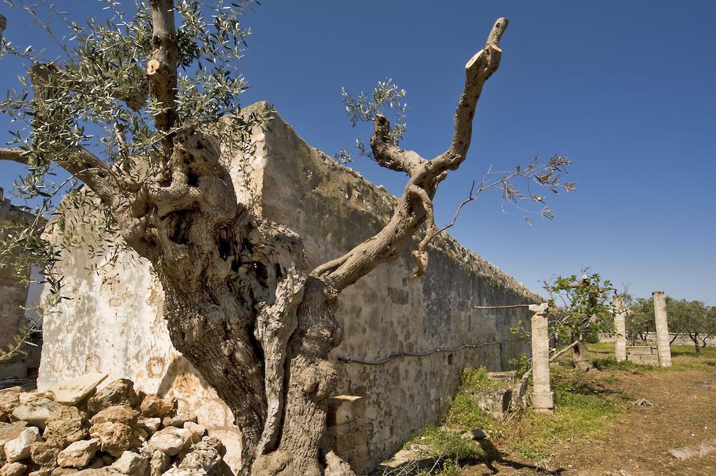 Masseria Spina Resort Монополи Номер фото